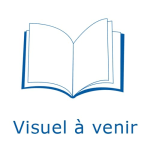 Dictionnaire des oeuvres IV